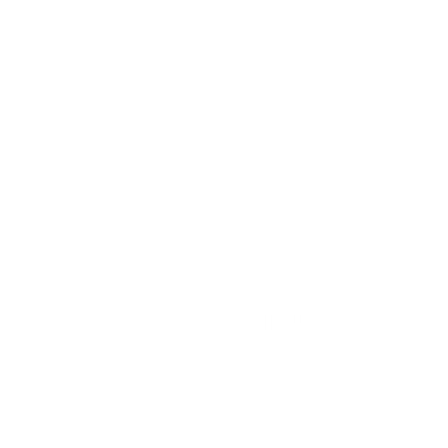 ModaMelhor